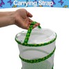5 Star Super Deals Butterfly Growing Garden Habitat Kit Large Butterfly Garden and Caterpillar Growing Enclosure for Kids - 4 of 4