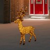 Northlight LED Lighted Commercial Grade Acrylic Reindeer Outdoor Christmas Decoration - 46" - 2 of 4