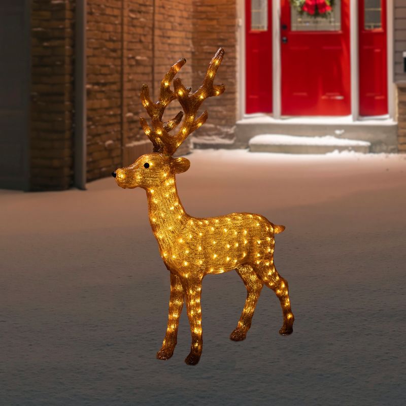 Northlight LED Lighted Commercial Grade Acrylic Reindeer Outdoor Christmas Decoration - 46", 2 of 8