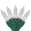 Northlight LED Mini Christmas Lights - Warm White  - 15.75’ Green Wire - 50ct - 2 of 4