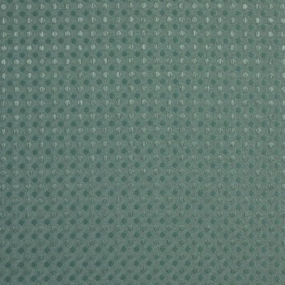 LunaLulinlk Dobby Dot 13 Piece Shower Curtain and Hook Set, 72 x 72, Green