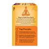 Yogi Tea - Sweet Tangerine Positive Energy Tea - 16ct - image 2 of 4