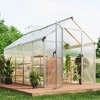6x10 FT Aluminum Greenhouse with Roof Vent Ground Nails Lockable Push Door Large Walk-in Green House for Outside Garden Backyard Patio Lawn - 3 of 4