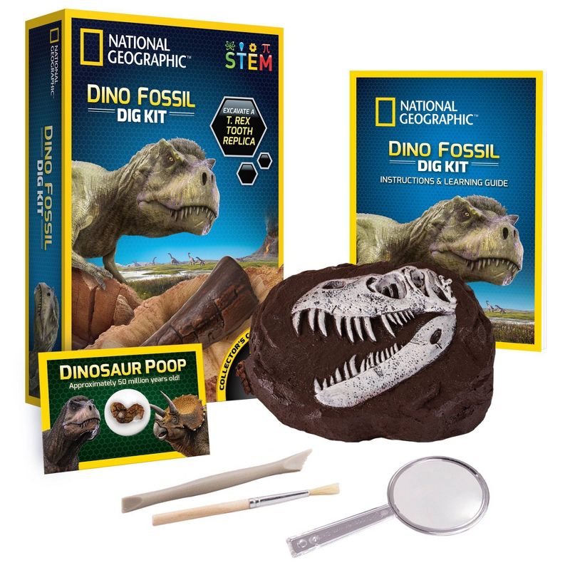 National Geographic Dino Fossil Dig Kit, 4 of 6