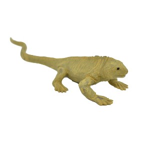 Collectible Wildlife Gifts | Land Iguana, Galapagos Islands, Hand Painted, Realistic Plastic Reptile Figure, Diorama, Toy,  Gift, 4 Inches. F1525 B150 - 1 of 4