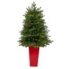 Nearly Natural 3.5-ft Yukon Mountain Fir Artificial Christmas Tree with 50 Clear Lights and Pine Cones in Red Planter - 3 of 4