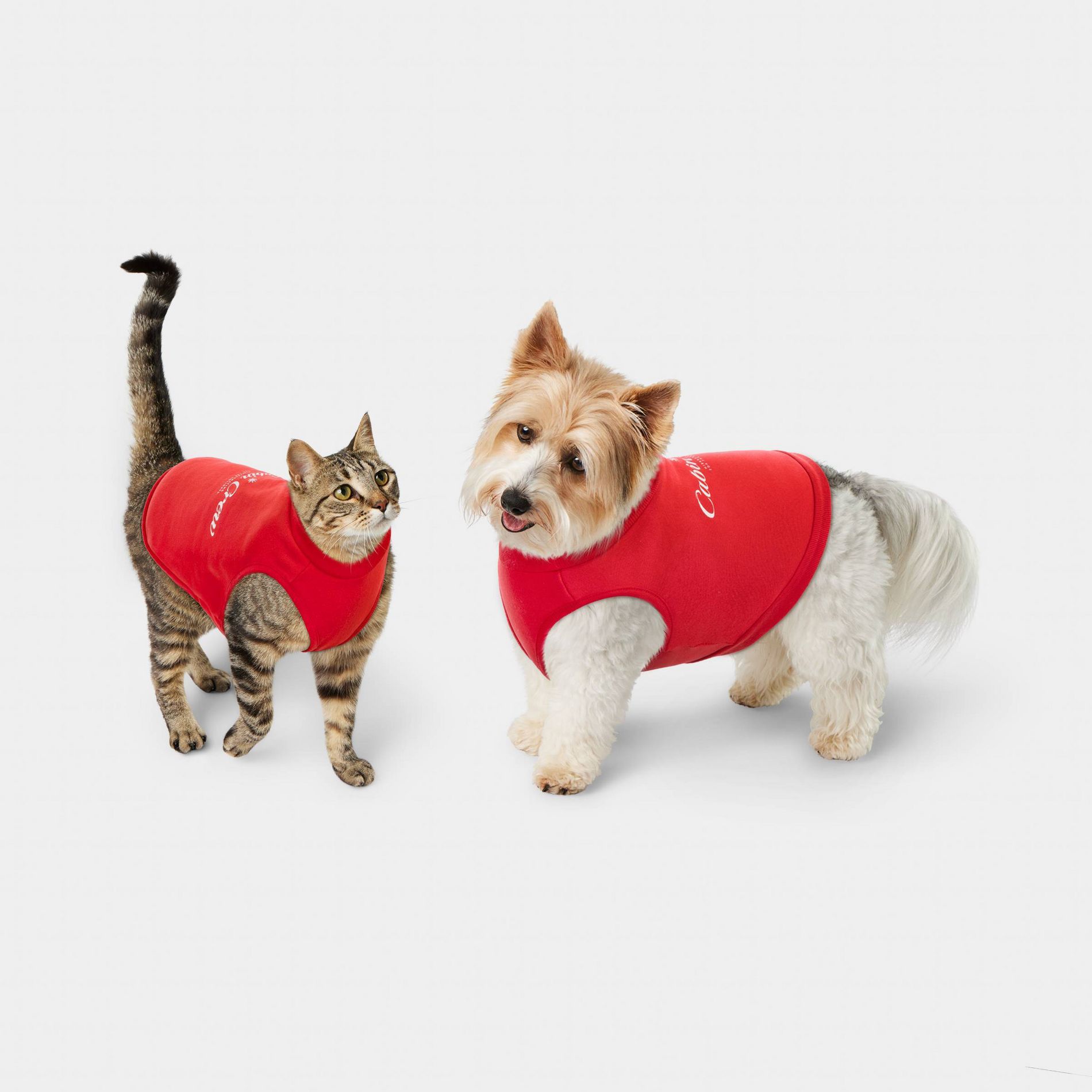 Cabin Crew Pet Sweatshirt - Wondershop™