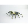 Collectible Wildlife Gifts | Tarantula Spider, Hand Painted, High Quality, Hard Rubber Spider, Realistic Insect, Toy Model, Gift,  5" IM21 B654 - 4 of 4
