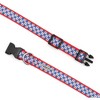 The Worthy Dog Daisies Dog Collar - image 4 of 4