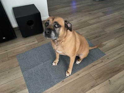 Guest review image 5 of 5, zoom in