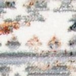 ivory/rust