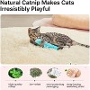 Potaroma Cat Toys Pillows, 3 Pcs, Soft and Durable Cat Crinkle Sound - 3 of 3