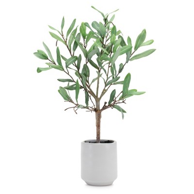 Melrose Potted Olive Tree 17.5"H