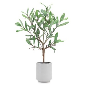 Melrose Potted Olive Tree 17.5"H - 1 of 1
