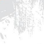 clear push pins bundle