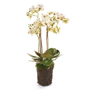 Plum & Post Phalaenopsis Orchid Faux (Fake) Drop-In 20" - 1 of 3
