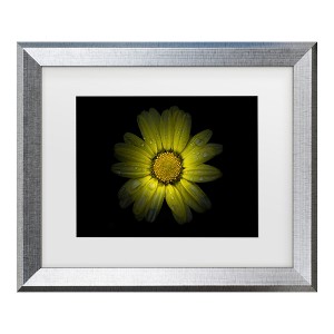 Trademark Fine Art - Brian Carson Backyard Flowers 78 Matted Framed Art - 1 of 4