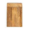 Storied Home Waterfall Edge End Table with Shelf - 4 of 4