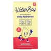 Waterboy Daily Hydration, Electrolyte Drink Mix, Watermelon, 12 Stick Packs, 0.11 oz (3.1 g) Each - 4 of 4