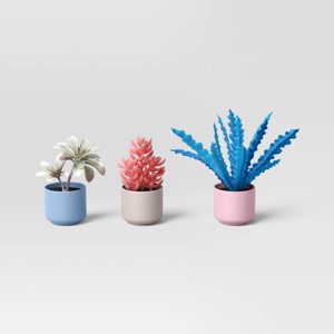 Multicolor Succulent Multipack Plant - Room Essentials™ - 1 of 4