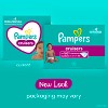 Pampers Cruisers Diapers Size 7 44 Count