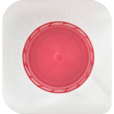 Reiter Fat Free Skim Milk - 1qt
