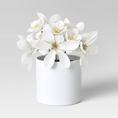 White Flower Plant - Threshold™