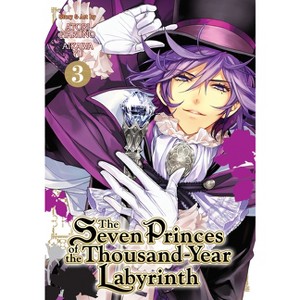 The Seven Princes of the Thousand-Year Labyrinth Vol. 3 - by  Aikawa Yu (Paperback) - 1 of 1