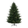 Home Imports Emporium Kinsley Prelit Artificial Christmas Tree, Realistic Traditional Christmas Tree with Lights - 2 of 4