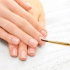 Unique Bargains Universal Nail Painting Brushes for Polish Painting Gold Tone Clear White 1 Pc - 2 of 4