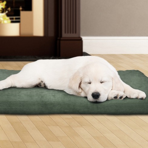 Large foam clearance dog bed