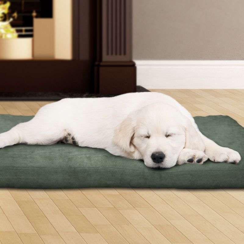 Petmaker 3" Foam Dog Bed - 25.5"x19" - Forest, 1 of 6