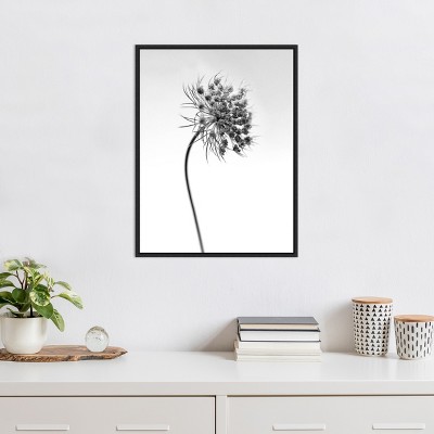 Black and White Botanical Lithograph Canvas Print with Black Frame