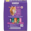 IAMS Proactive Health with Chicken Kitten Premium Dry Cat Food - 2 of 4