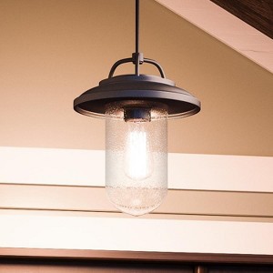 Urban Ambiance Luxury Modern Farmhouse Farmhouse Outdoor Pendant Light,  12-5/8" x 10",  Black Finish, UHP1141 - 1 of 4