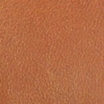 chestnut
