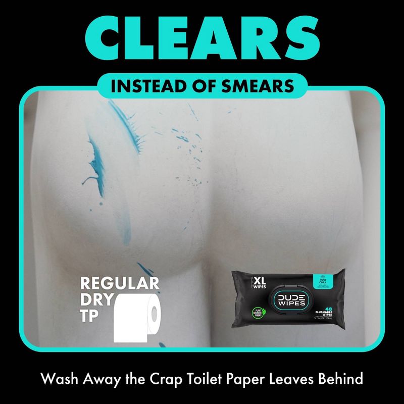 Dude Wipes Mint Chill On-The-Go Flushable Personal Wipes - 30ct, 4 of 10