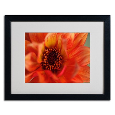 Trademark Fine Art -Kathy Yates 'Fiery Dahlia' Matted Framed Art