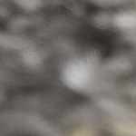 light gray, medium gray, off white, rust