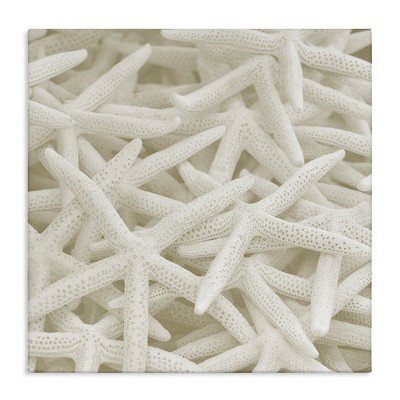 Stupell Industries Nautical White Starfish Photography, 36" x 36"