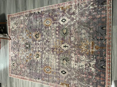 Vibe By Jaipur Living Elva Indoor/ Outdoor Oriental Pink Area Rug