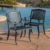 NicBex Set of 2 Outdoor Dining Chair,Patio Dining Chairs with Traditional Design,Aluminum Chairs Suitable for Patio,Garden,Bronze/Black - 4 of 4