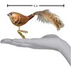 Old World Christmas Glass Blown Christmas Ornament, Wren with Clip (With OWC Gift Box) - 3 of 3