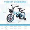 Infans Rabbit Pilot Sporty Kids Bike, 16 Inch Child Bike for 4-7 Years Old with Adjustable Height, Training Wheels, Handbrake & Coaster Brake, Blue - 2 of 4
