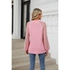 Lace Blouse Sheer Raglan Sleeve Tops Crew Neck Long Sleeve Pleated Tee Blouse Elegant Tops Casual Tops - 2 of 4