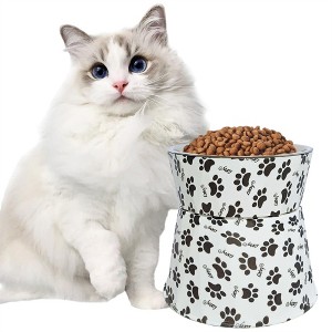 6" Anti-Vomiting Stainless Steel Pet Bowl for Small and Medium Dogs and Cats - Non-slip, Modern Design with Spine Protection - 1 of 4