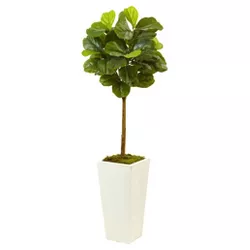 Fiddle Leaf Fig in White Planter (4.5ft) - Nearly Natural