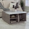 East Rock Lift Top Coffee Table Ashen Oak - Sauder: Hidden Storage, Adjustable Shelf, Multifunctional - 3 of 4