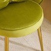 Karl Home Velvet Accent Chair With Pillows - 3 of 4