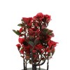 Unique Bargains Tree Artificial 12-Piece Tree Rose Arrangement Plastic 3.54"x3.54"x9.06" 1 Pcs - 4 of 4